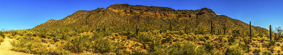 Usery Mountain Park Cat Peaks Panorama Photograph by Roger Passman