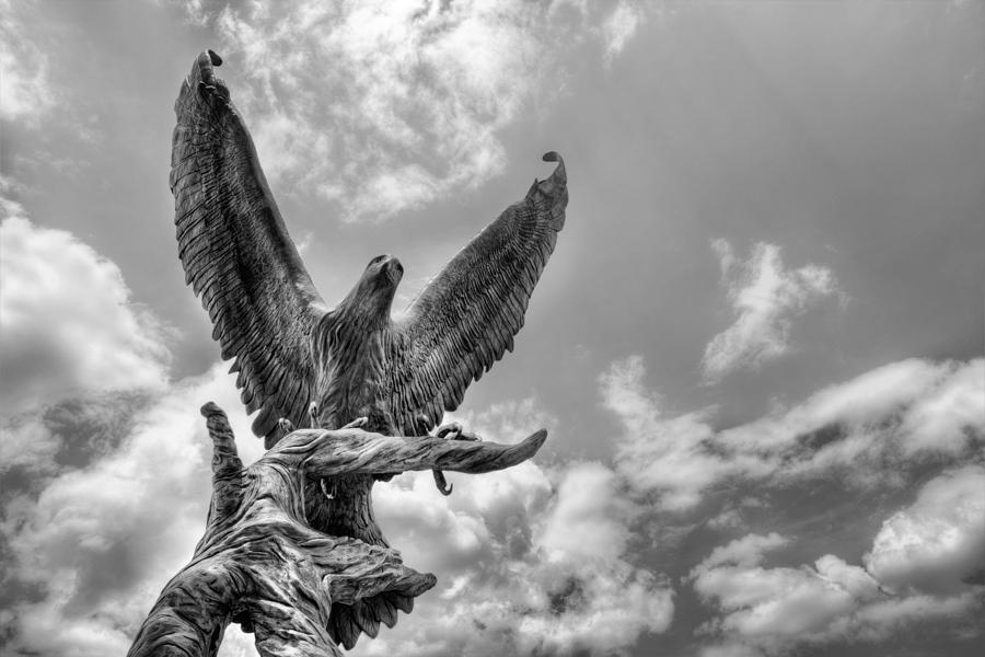 University Of Southern Mississippi Photograph - USM Golden Eagles by JC Findley