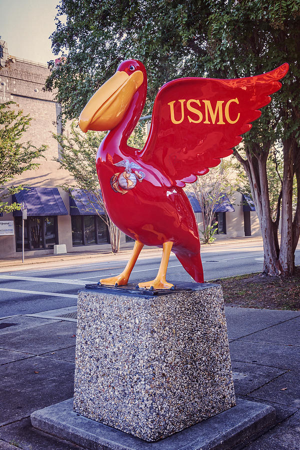 USMC Pelican on Parade Photograph by Joan Carroll