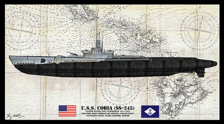 Gato Digital Art - USS Cobia Profile - Oil by Tommy Anderson