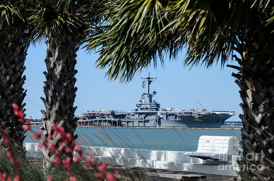 USS Lexington - Corpus Christi Texas Photograph by Debra Martz