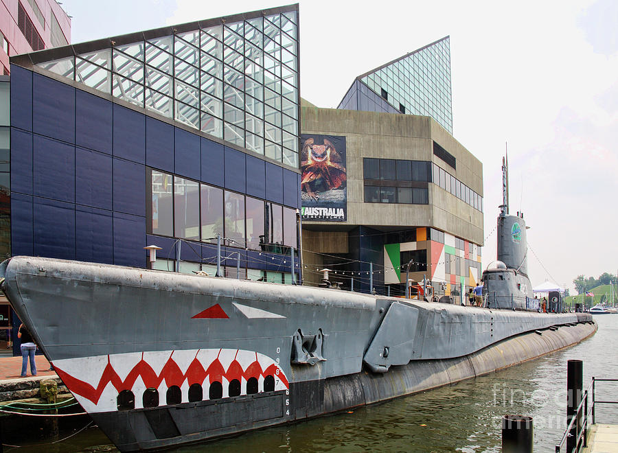 USS Torsk at the National Aquarium in Baltimore Photograph by William Kuta