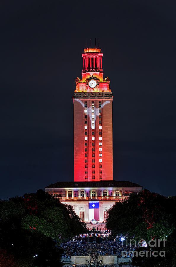 UT Tower with Longhorn Photograph by Bee Creek Photography - Tod and Cynthia