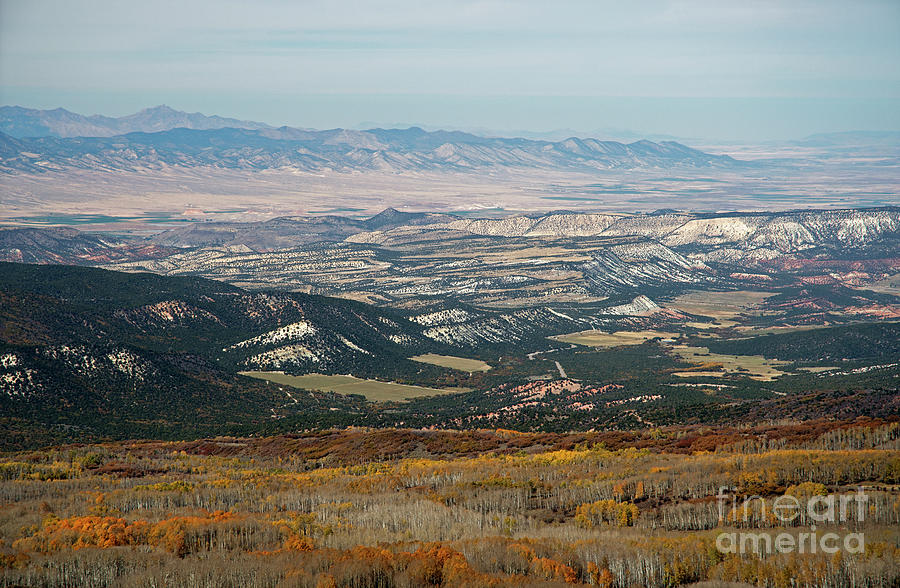Utah a patchwork Photograph by Cindy Murphy - NightVisions