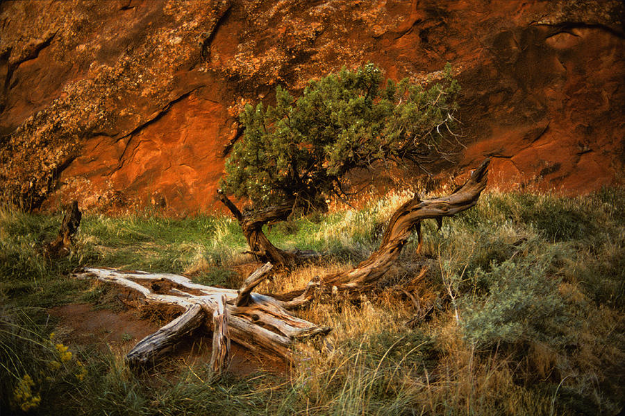 Landscape Photograph - Utah by Alan Mogensen