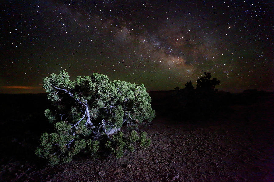 Utah Desert Sky Photograph by David Andersen