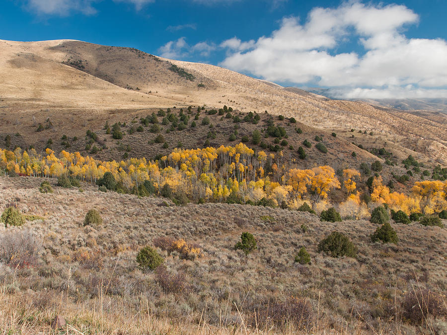Mountain Photograph - Utah High Desert Autumn by Joshua House