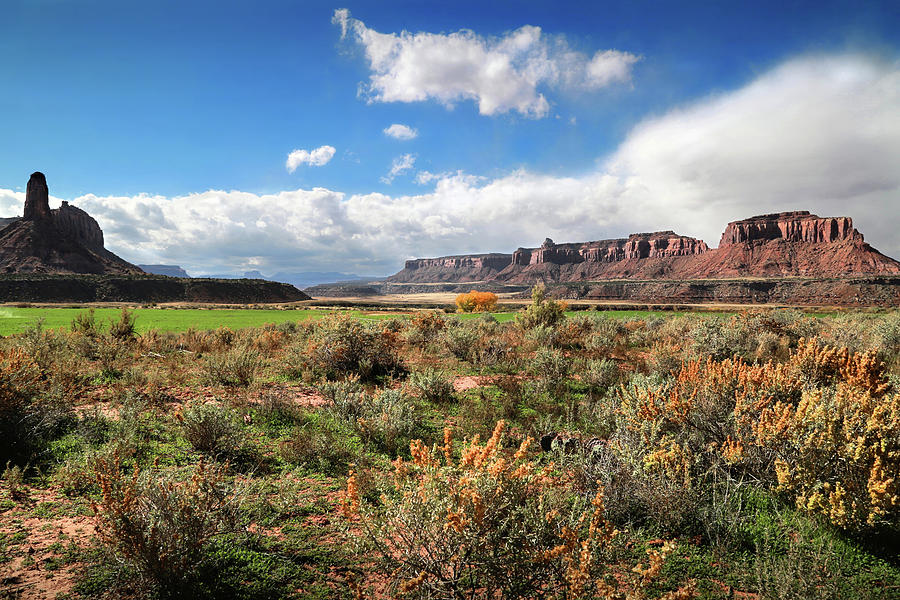 Utah High Range Photograph