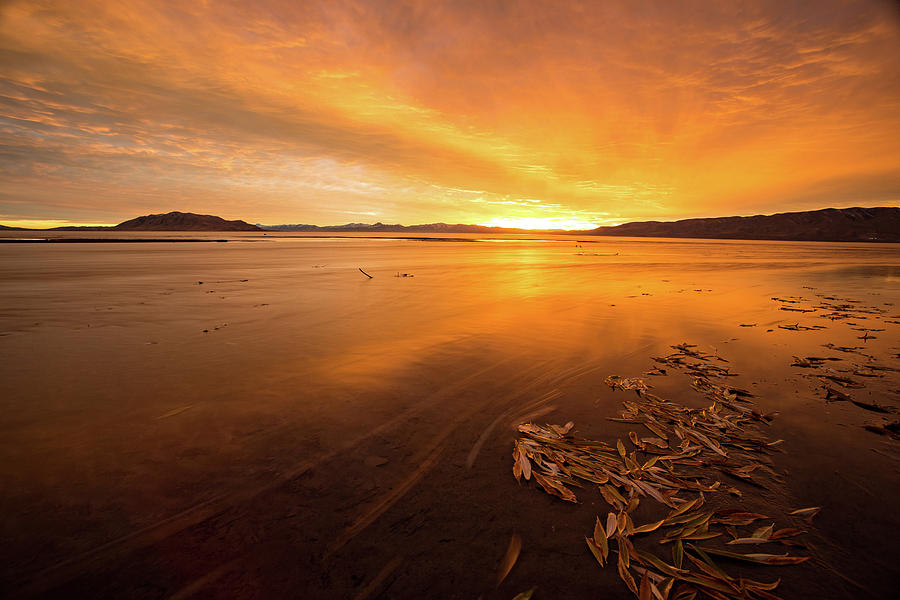 Utah Lake Sunset Photograph by Wesley Aston