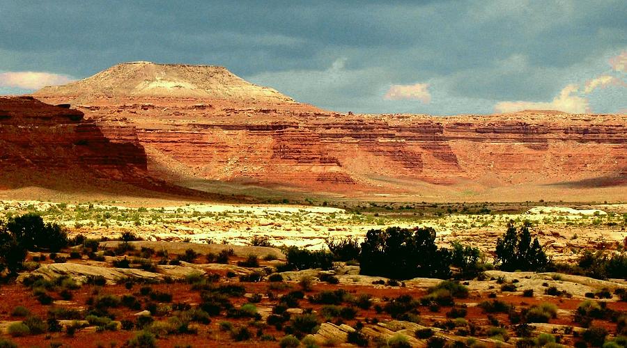 Utah Plateau MTN M 302 Photograph by Sierra Dall - Fine Art America