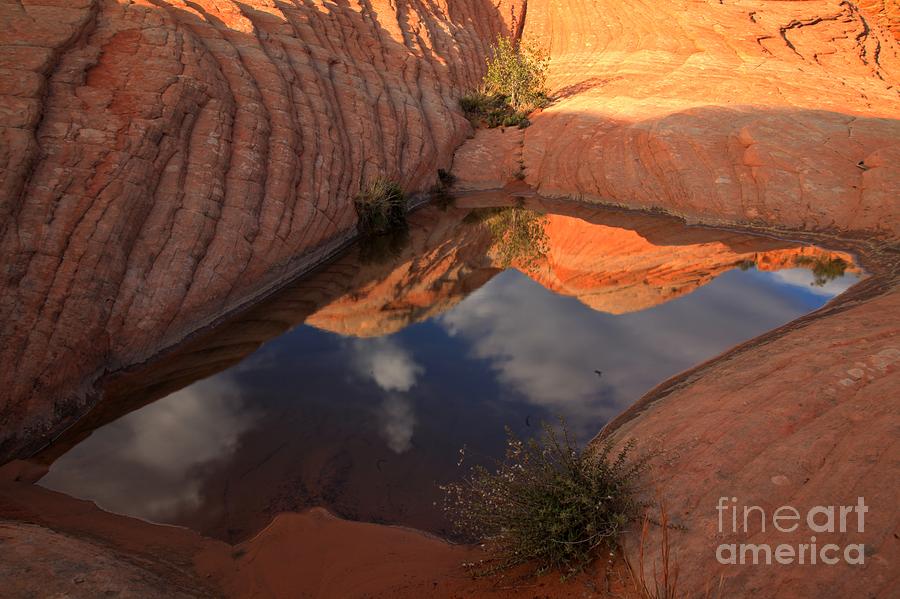 Utah Sandstone Redlections Photograph by Adam Jewell