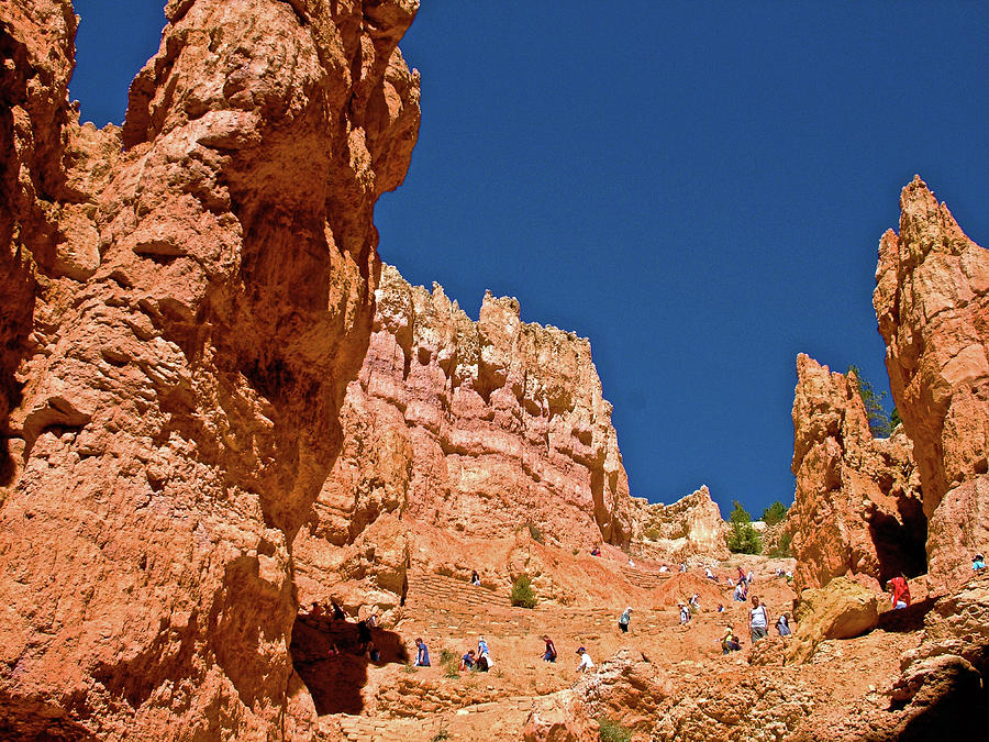 Utah Seventh Graders Climbing Switchbacks on Wall Street, Navajo Trail in Bryce National Park, Utah Photograph by Ruth Hager
