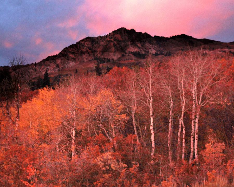 Mountain Photograph - Utah skies by Sally Falkenhagen