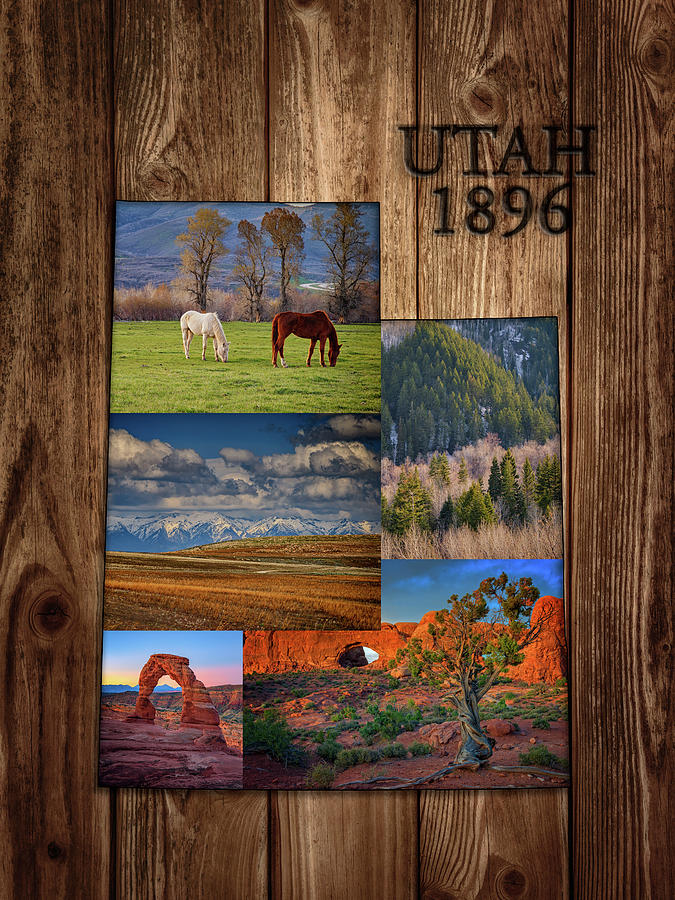 Salt Lake City Photograph - Utah State Map Collage by Rick Berk