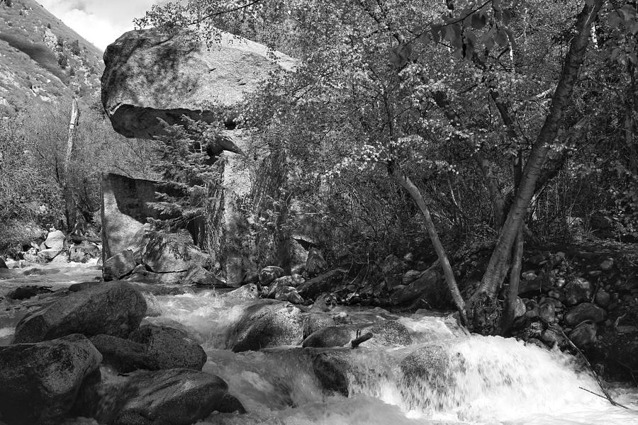 Utah Stream in Black And White  Photograph by Buck Buchanan