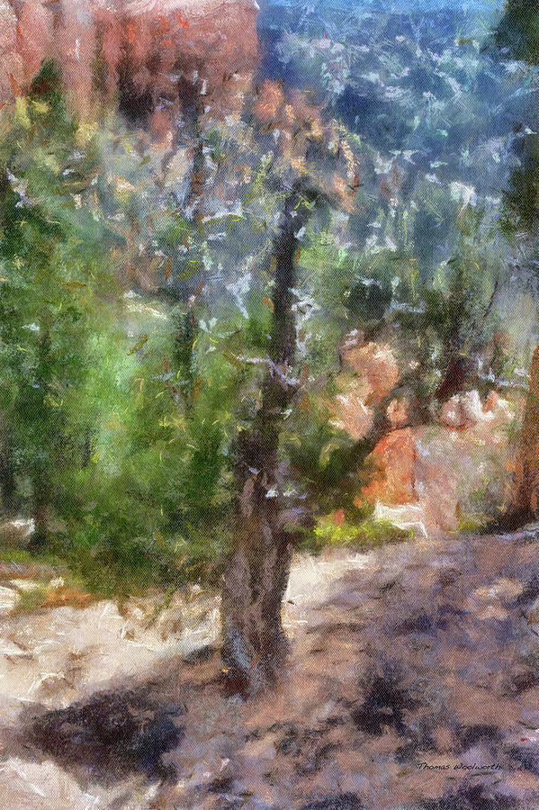 Utah Trees Bryce Canyon National Park 03 PA Vertical Photograph by Thomas Woolworth