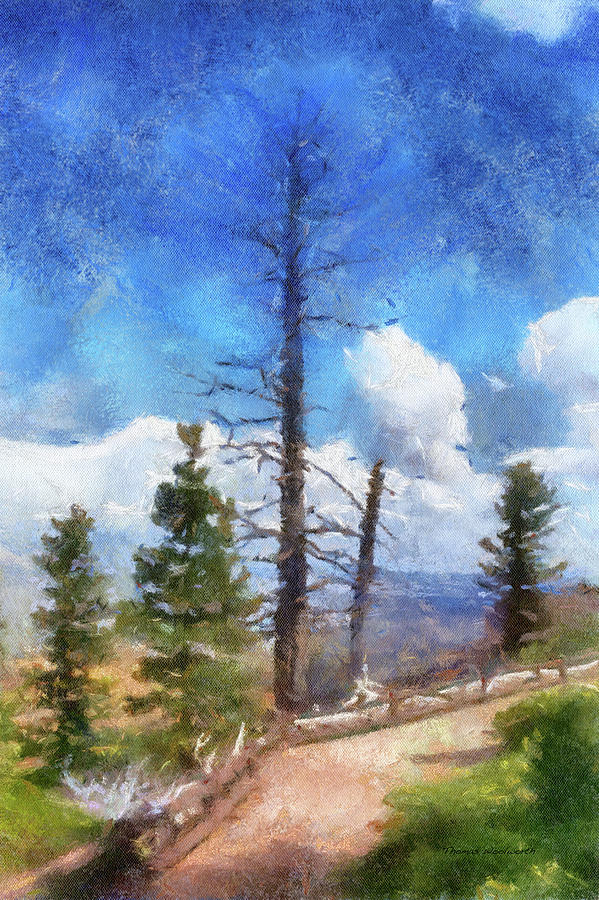 Utah Trees Bryce Canyon National Park 05 PA Vertical Photograph by Thomas Woolworth