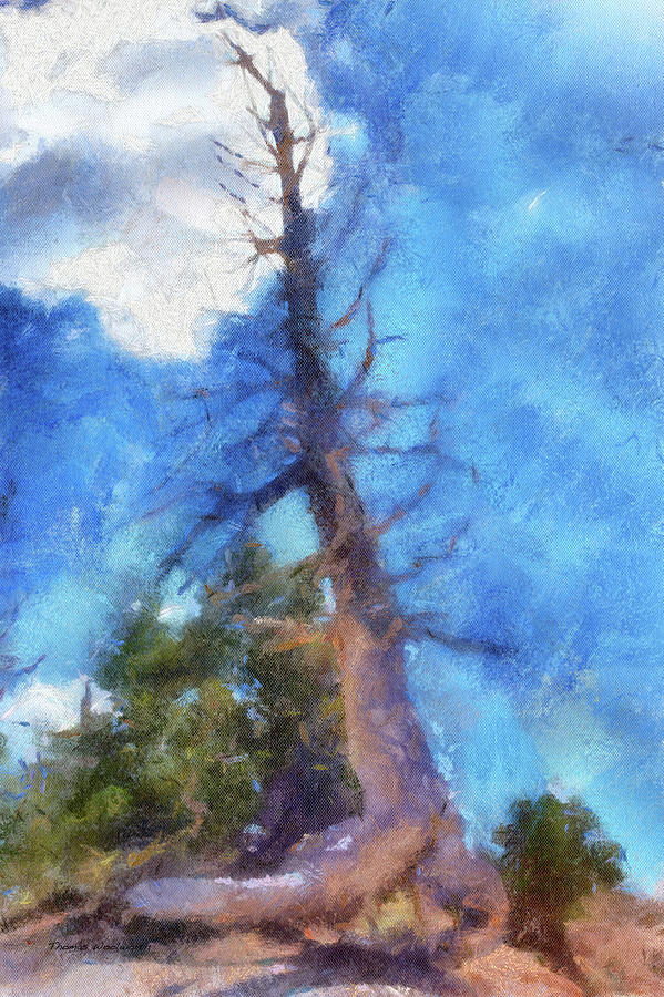 Utah Trees Bryce Canyon National Park 07 PA Vertical Photograph by Thomas Woolworth