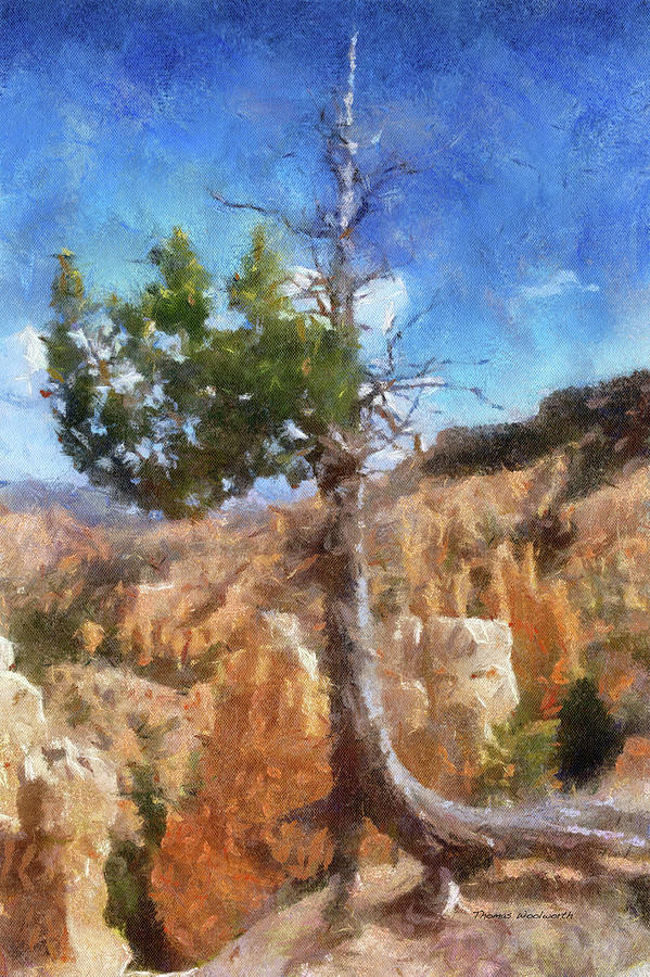 Utah Trees Bryce Canyon National Park 08 A PA Vertical Photograph by Thomas Woolworth