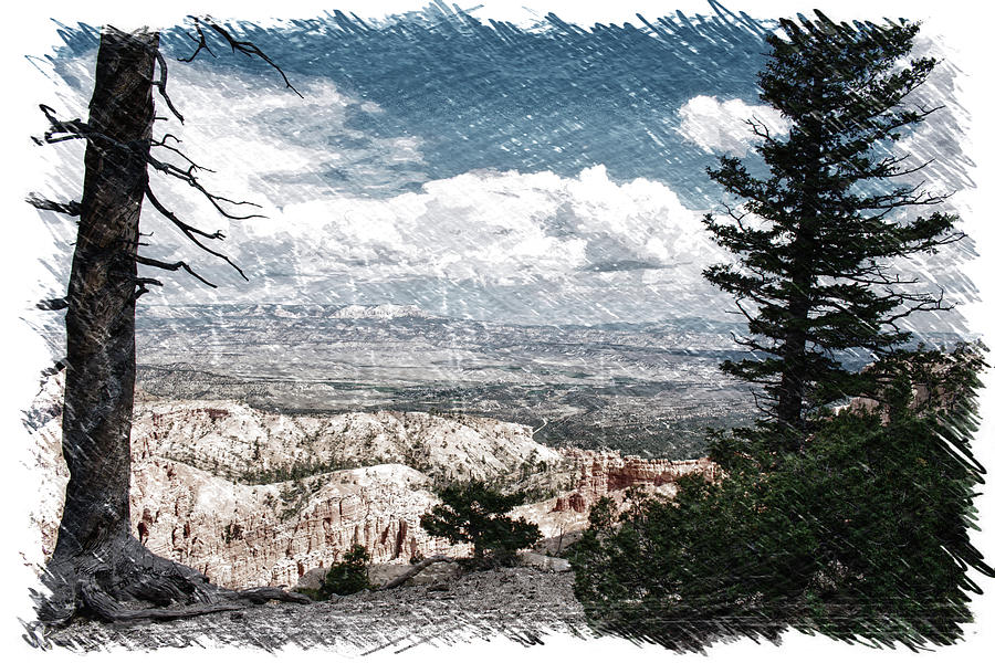 Utah Trees Bryce Point Bryce Canyon National Park 02 PA Photograph by Thomas Woolworth