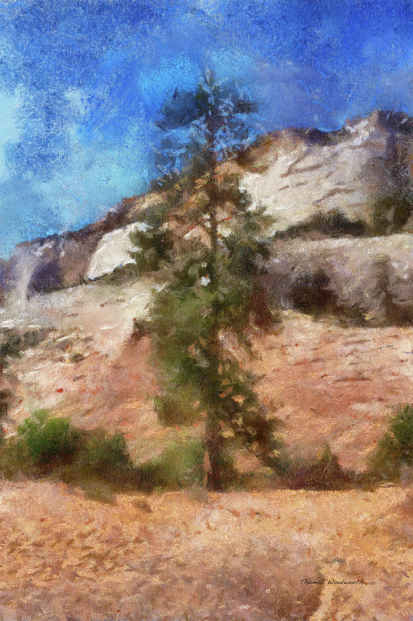 Utah Trees Zion National Park 08 PA Mixed Media by Thomas Woolworth