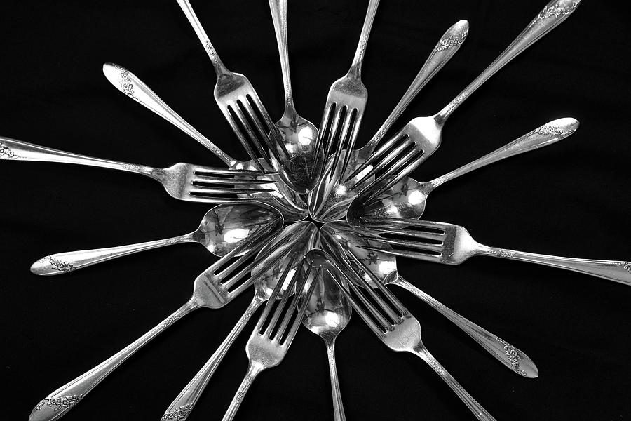 Utensil Bloom One Photograph by Marisa Geraghty Photography