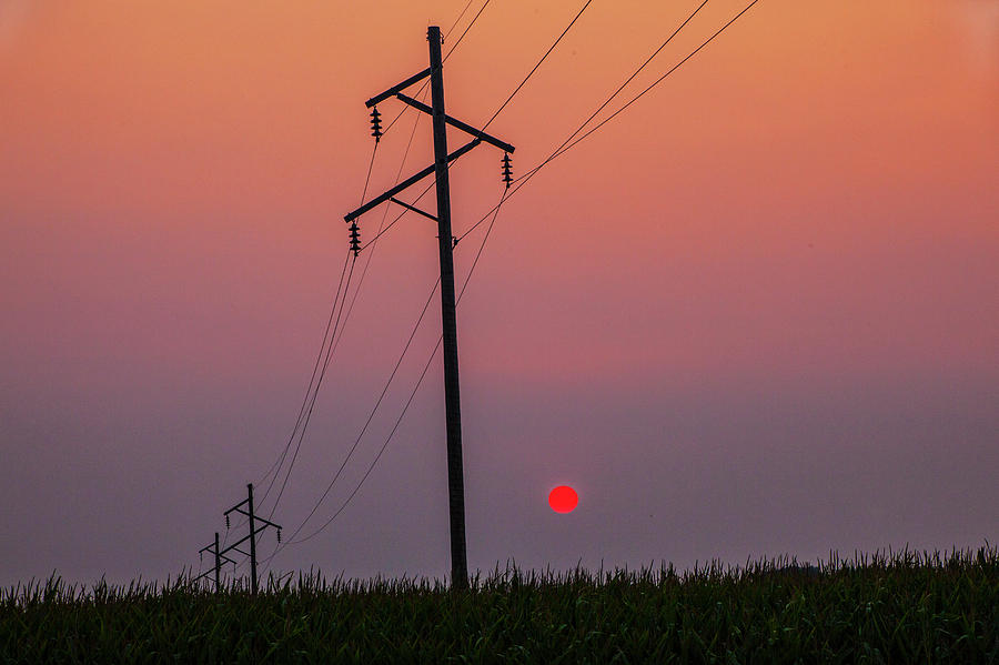 Utilty Poles and Power Lines over a Cornfield at Sunset in Iowa Photograph by Randall Nyhof