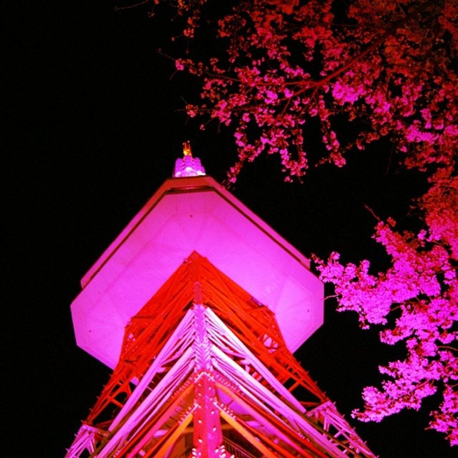 Pink Photograph - Utsunomiya Tower by Nori Strong
