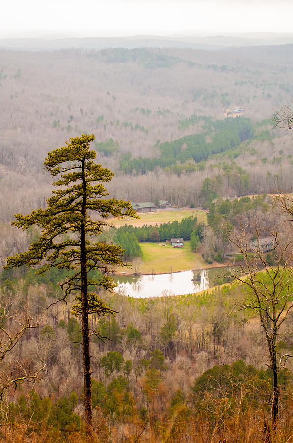 Uwharrie Mountain Range In North Carolina Photograph by Alex Grichenko