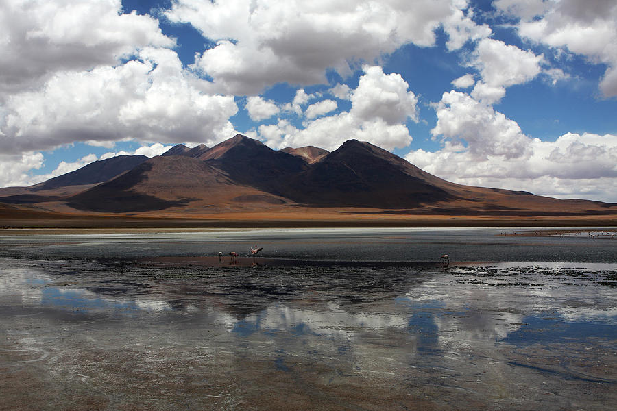 Uyuni Salt Flats, Bolivia Photograph by Aidan Moran
