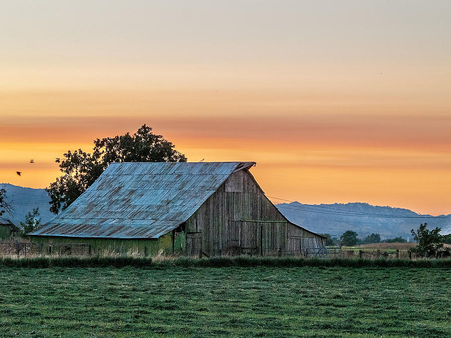 Nature Photograph - Vaca Barn by Bill Gallagher