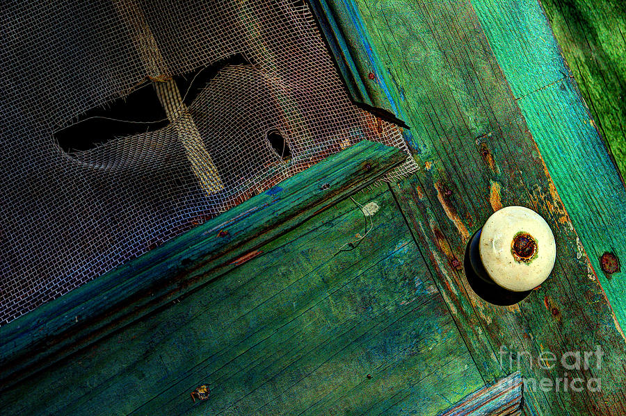 Green Door Photograph - Vacant Memories by Michael Eingle