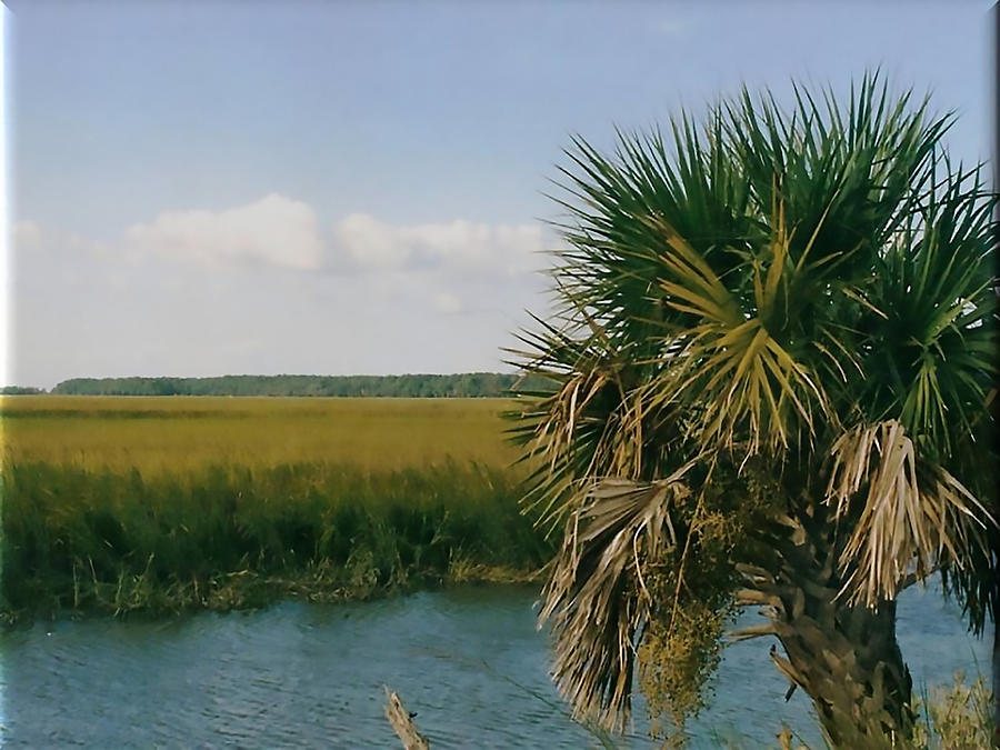 Vacation View by Cynthia Leaphart Vacation View by Cynthia Leaphart