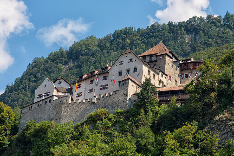 Vaduz Castle, Liechtenstein Photograph by Ivan Batinic