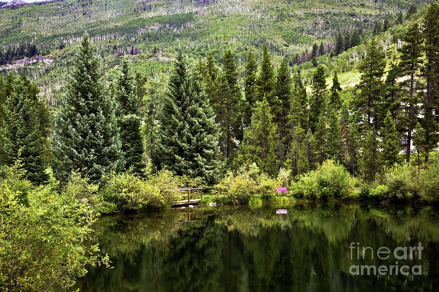Vail Reflections In The Summer Photograph by Madeline Ellis