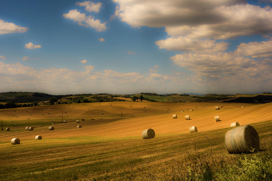 Val dOrcia field with hay balls Photograph by Wolfgang Stocker