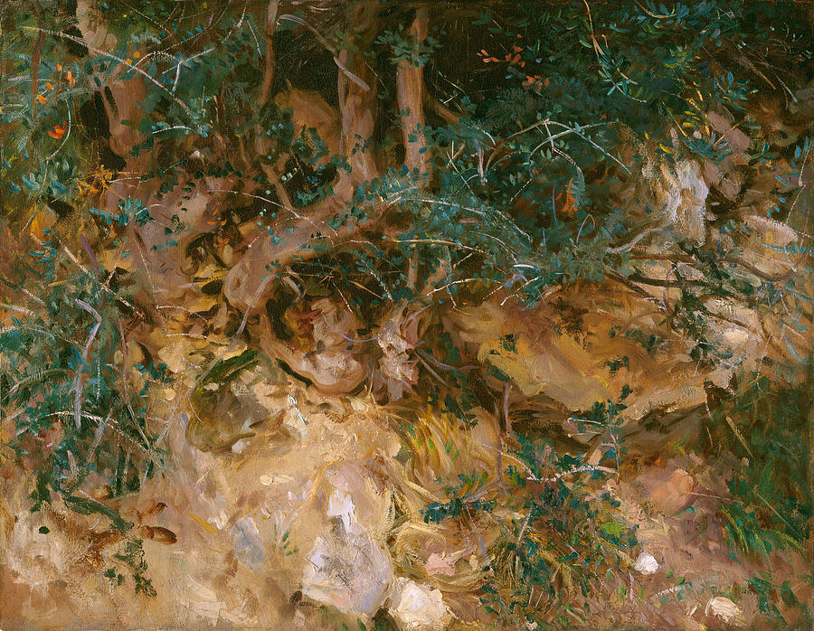 John Singer Sargent Painting - Valdemosa - Majorca - Thistles And Herbage On A Hillside by John Singer Sargent
