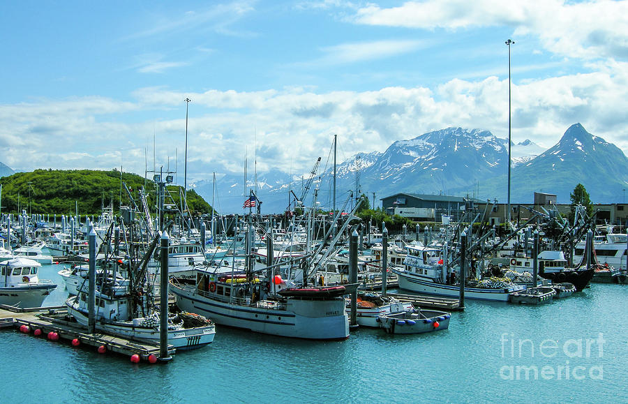 Valdez Alaska Photograph by Nick Boren