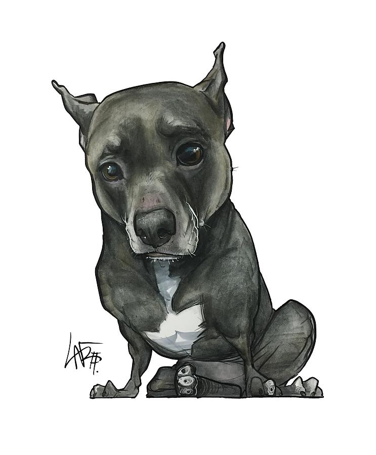 Pet Portrait Drawing - Valentine 3344 by John LaFree