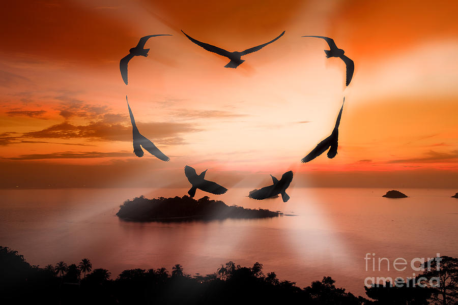 Fantasy Photograph - Valentine bird by Anek Suwannaphoom