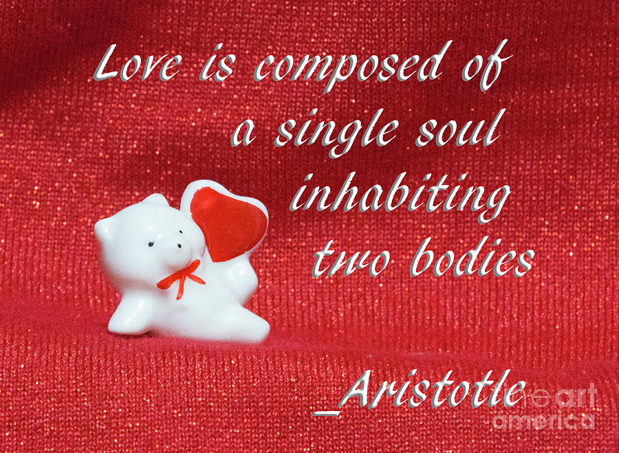 Valentine by Aristotle Photograph by Linda Phelps