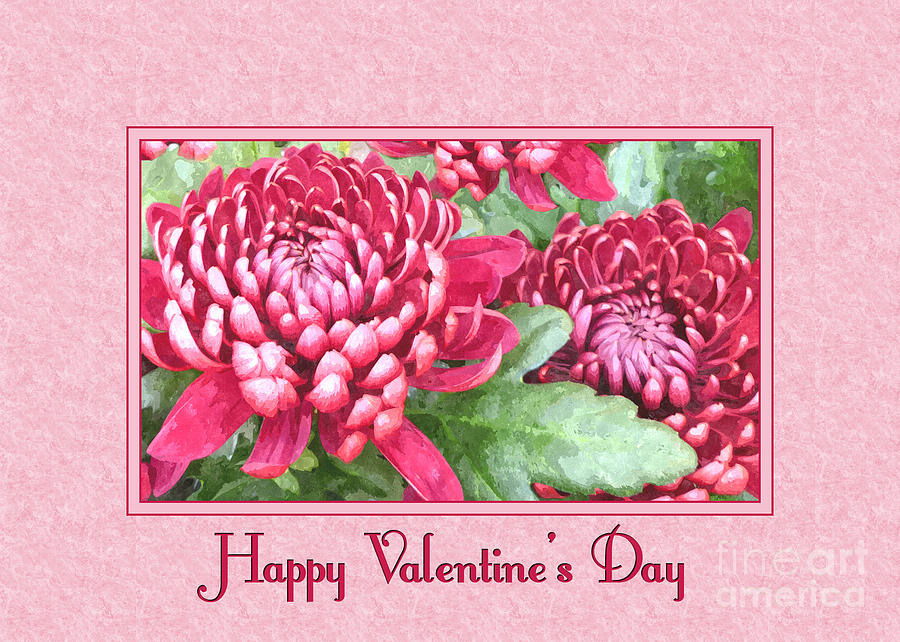 Rose Digital Art - Valentine Chrysanthemums by JH Designs