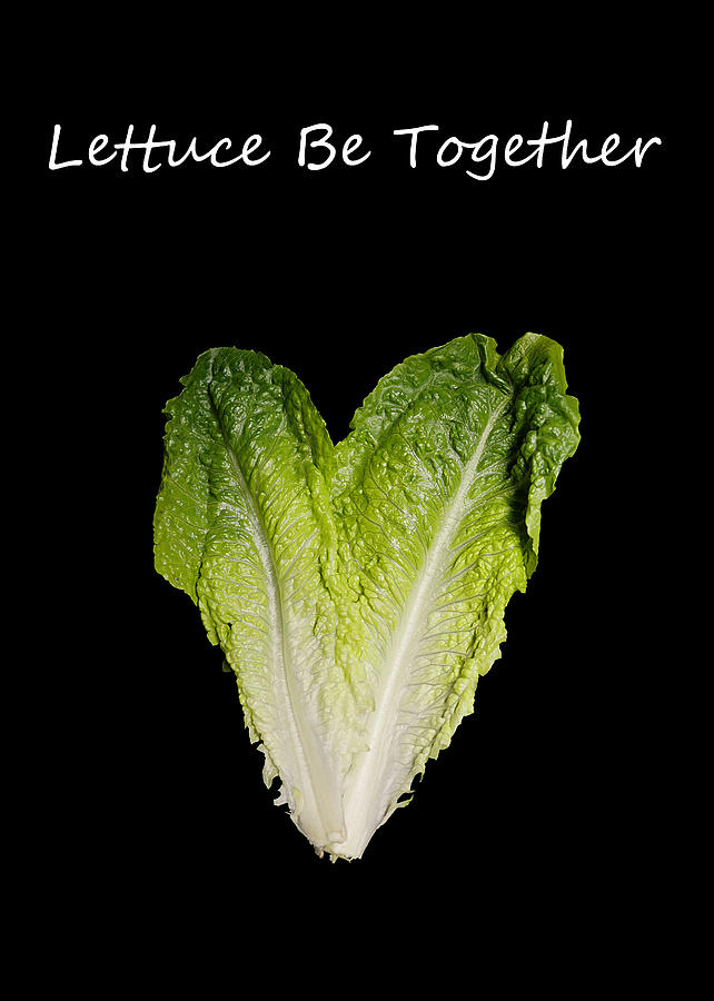 Valentine - Lettuce Be Together Photograph by Richard Reeve