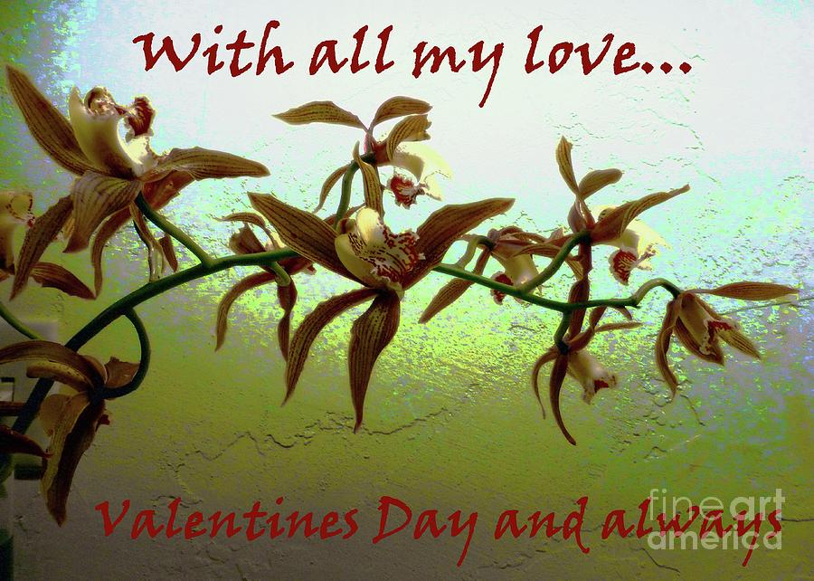 Valentine with Orchids on Opalescence Photograph by Barbie Corbett-Newmin