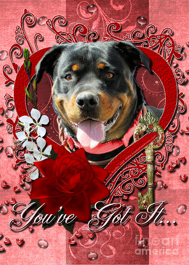 Valentines - Key to My Heart Rottweiler Digital Art by Renae Crevalle -  Pixels