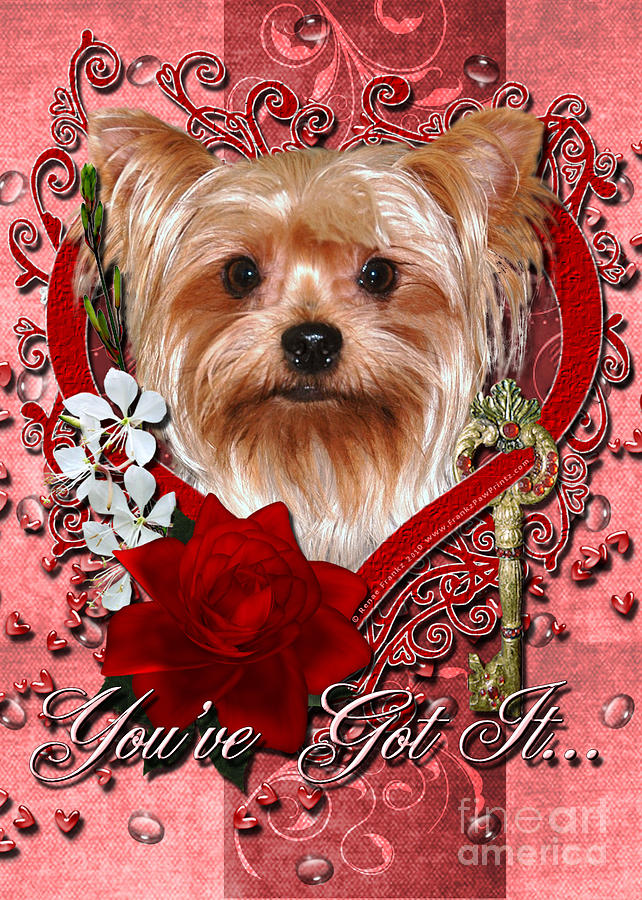 Valentines - Key to My Heart Yorkshire Terrier Digital Art by Renae ...