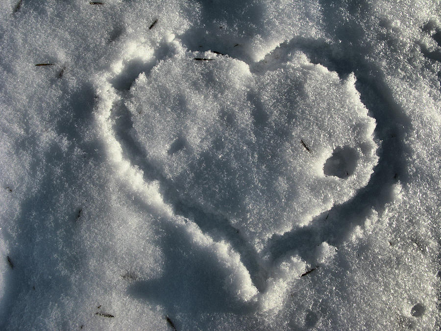 Valentines Day - Cold Heart Photograph by Daliana Pacuraru