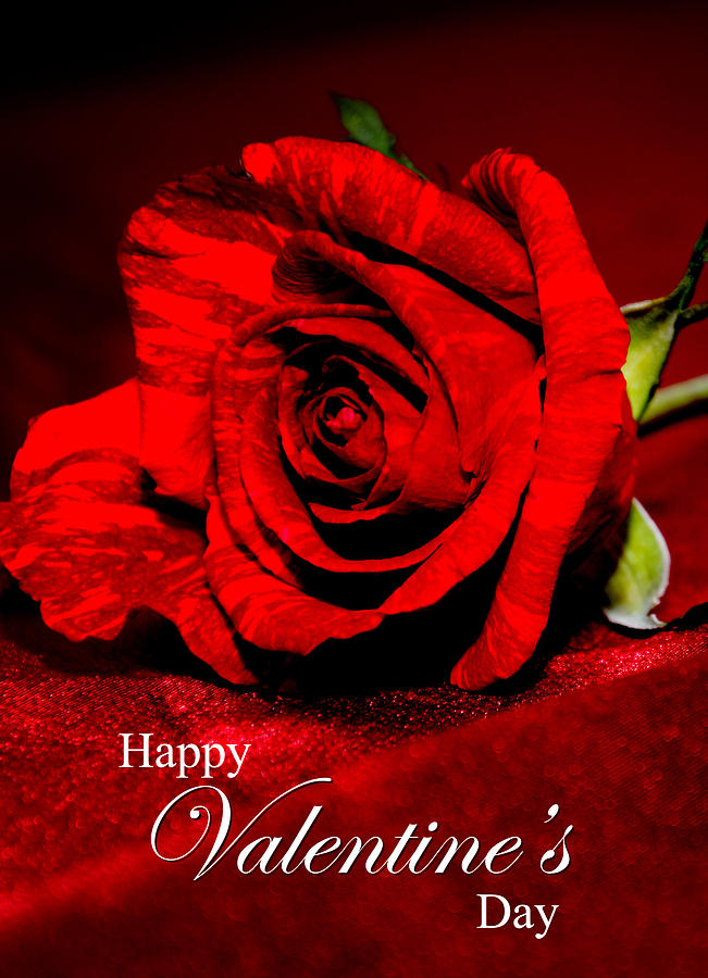 Valentines Day Greeting Card Photograph by Serena King