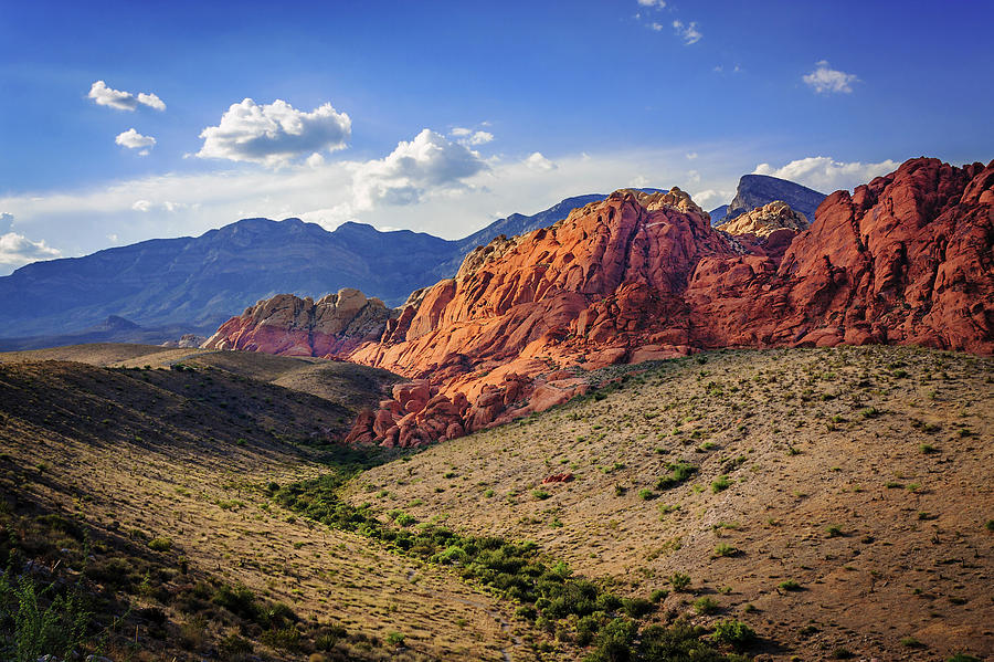 Valley At Red Rock Canyon In Nevada Photograph by Felipe Sanchez