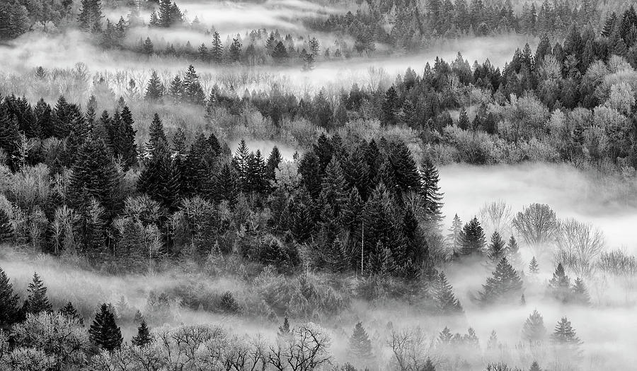 Valley Fog Photograph by Wes and Dotty Weber